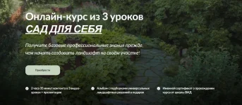 1755113590440.webp