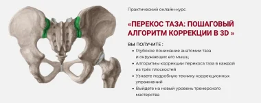1754832262039.webp