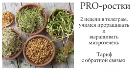 0.webp