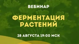 0.webp