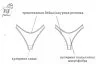 4.webp