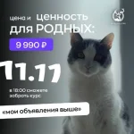 0.webp