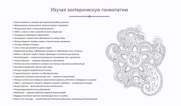 3.webp