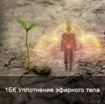 0.webp