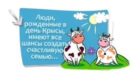2.webp