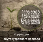 0.webp