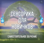 0.webp