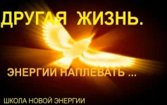 0.webp