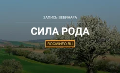 0.webp