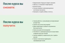 7.webp