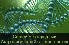 0.webp