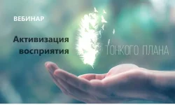 0.webp