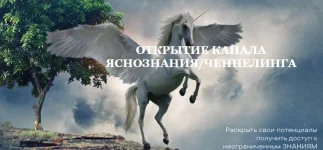 0.webp