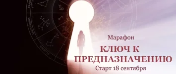 0.webp