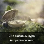 0.webp