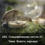 0.webp