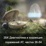 0.webp