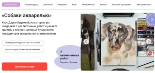0.webp