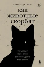 0.webp