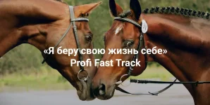 0.webp