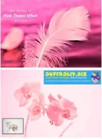0.webp