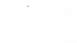 4.webp