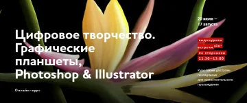 0.webp