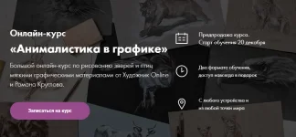0.webp