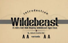 0.webp