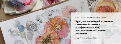 0.webp