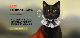 0.webp