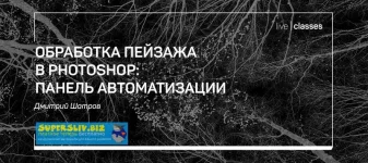 0.webp