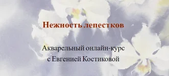 0.webp