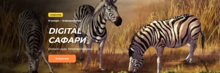 0.webp