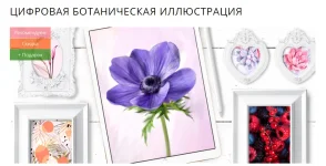 0.webp