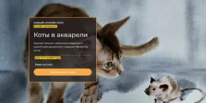 0.webp