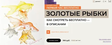 0.webp