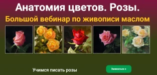 0.webp