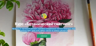 0.webp