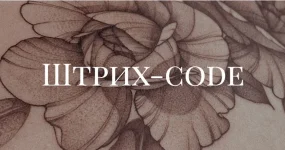 0.webp