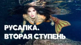 0.webp