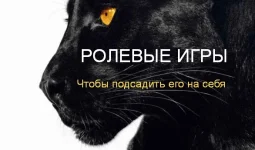 0.webp