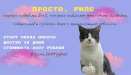 0.webp