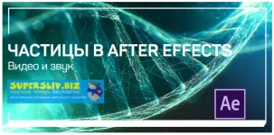 0.webp