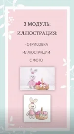 3.webp