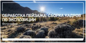 0.webp