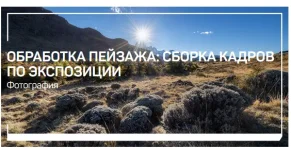 0.webp