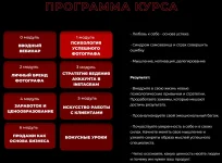 1.webp