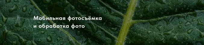 0.webp