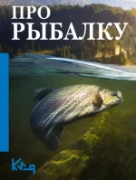0.webp
